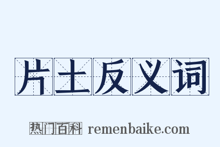 片土反义词是什么意思的图片